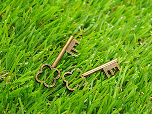 芝生に置かれたレトロな鍵2つ